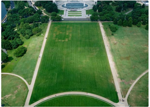 ’8647’ Etched on National Mall Ahead of UFC Event on Trump’s Birthday”